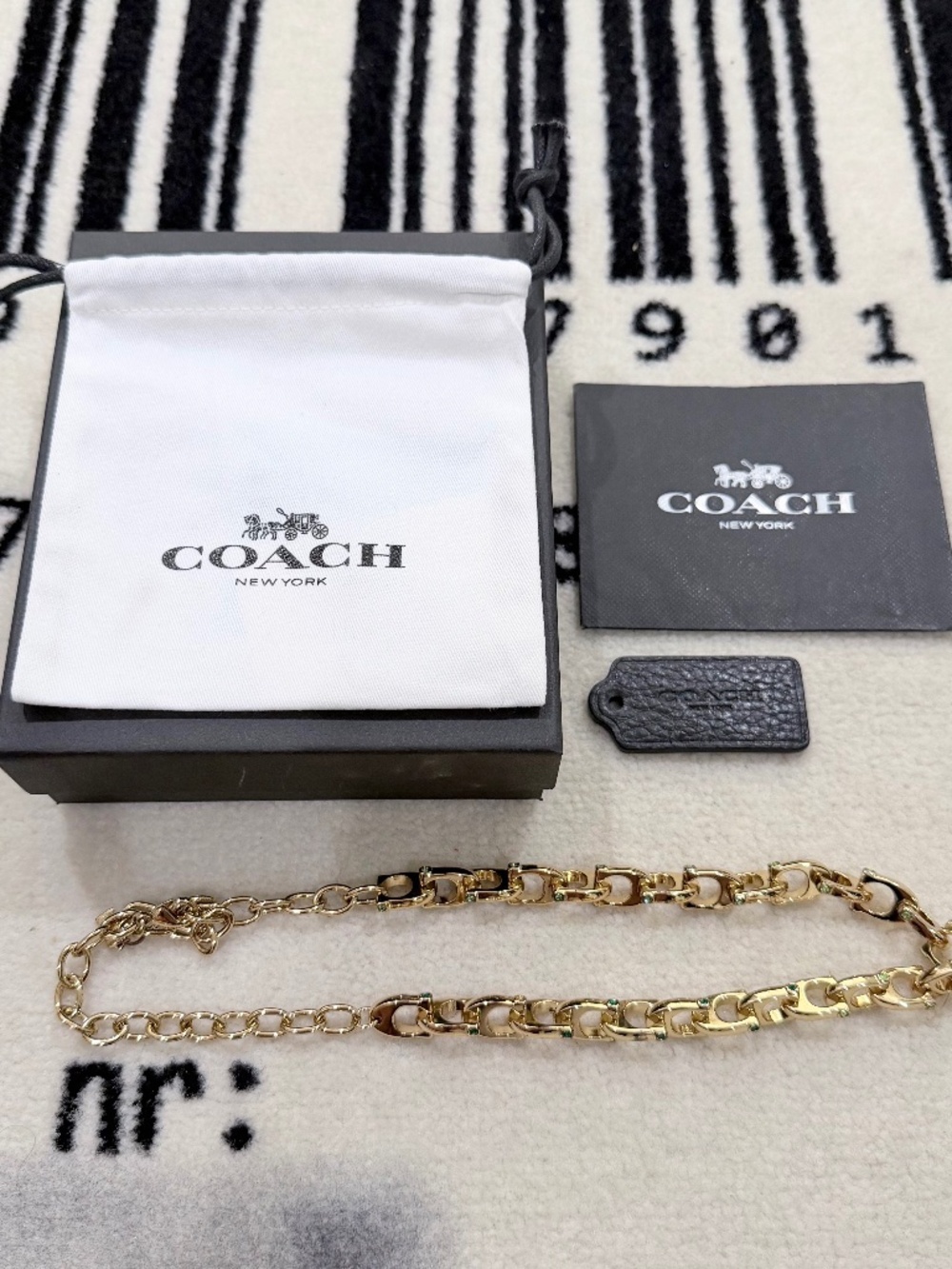 Coach New York Chunky C Signature Curb Chain Gradient Green CZ Stones Necklace